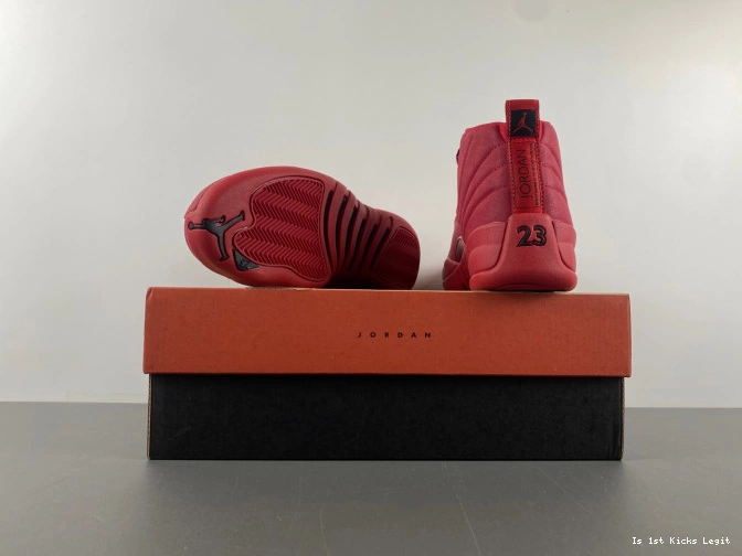 Gym 130690-601 Red Air (2018) Jordan 12 Retro 0811